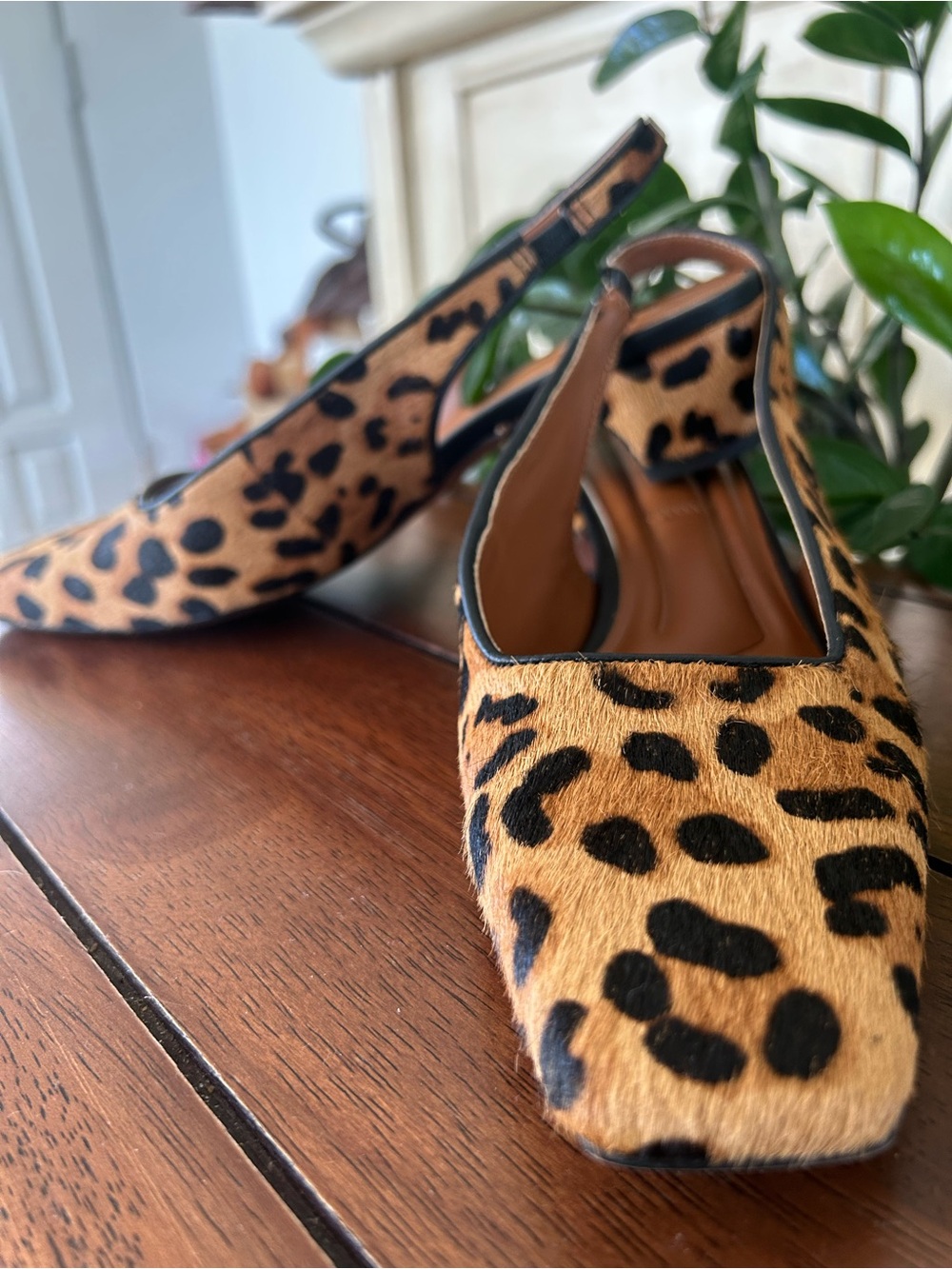 Franco Sarto Leopard Print Slingback Pointed Toe Mules - Tan & Black - Picture 15 of 16